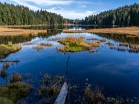 Herrlicher Aussichtspunkt am Westufer des Großen Arbersees